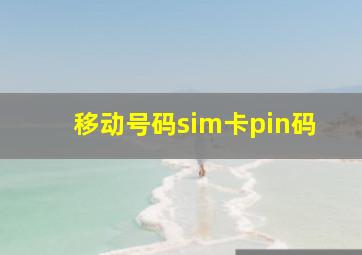 移动号码sim卡pin码