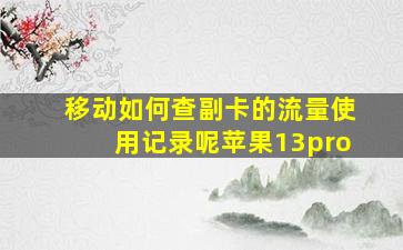 移动如何查副卡的流量使用记录呢苹果13pro