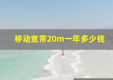 移动宽带20m一年多少钱