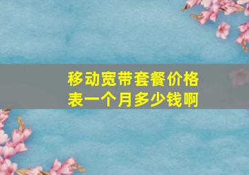 移动宽带套餐价格表一个月多少钱啊