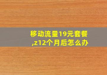 移动流量19元套餐,z12个月后怎么办