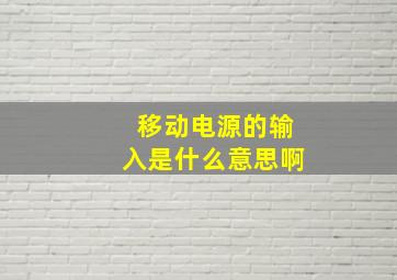 移动电源的输入是什么意思啊