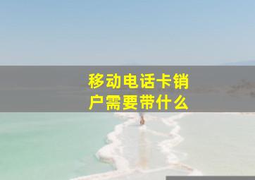 移动电话卡销户需要带什么