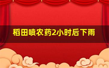 稻田喷农药2小时后下雨