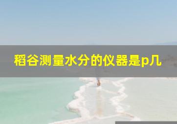 稻谷测量水分的仪器是p几