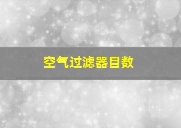 空气过滤器目数