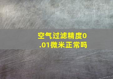 空气过滤精度0.01微米正常吗