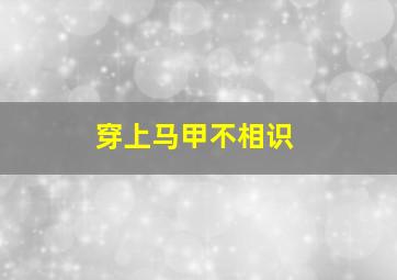 穿上马甲不相识