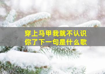 穿上马甲我就不认识你了下一句是什么歌