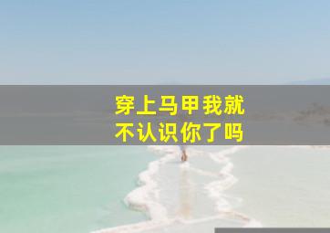 穿上马甲我就不认识你了吗