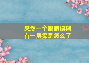 突然一个眼睛模糊有一层雾是怎么了