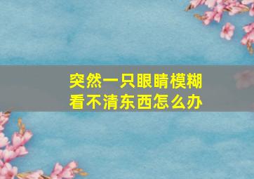 突然一只眼睛模糊看不清东西怎么办