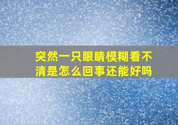 突然一只眼睛模糊看不清是怎么回事还能好吗