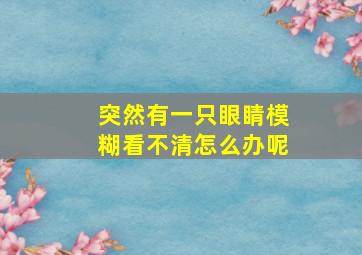 突然有一只眼睛模糊看不清怎么办呢