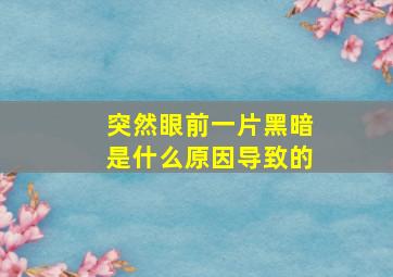 突然眼前一片黑暗是什么原因导致的