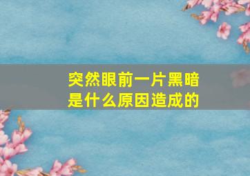 突然眼前一片黑暗是什么原因造成的