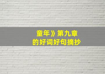 童年》第九章的好词好句摘抄