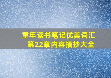 童年读书笔记优美词汇第22章内容摘抄大全