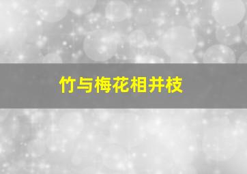 竹与梅花相并枝