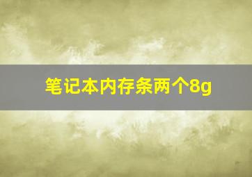 笔记本内存条两个8g