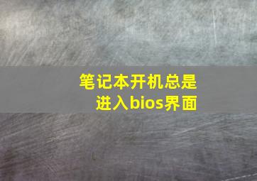 笔记本开机总是进入bios界面