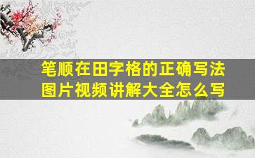 笔顺在田字格的正确写法图片视频讲解大全怎么写