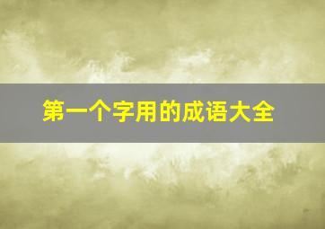 第一个字用的成语大全