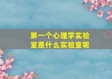 第一个心理学实验室是什么实验室呢