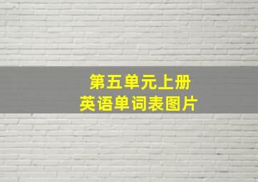 第五单元上册英语单词表图片