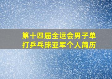 第十四届全运会男子单打乒乓球亚军个人简历