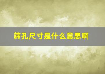 筛孔尺寸是什么意思啊