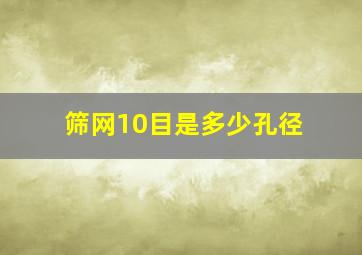 筛网10目是多少孔径