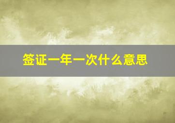 签证一年一次什么意思