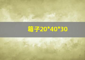 箱子20*40*30