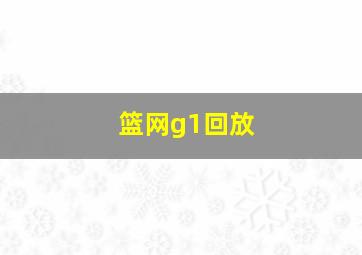 篮网g1回放