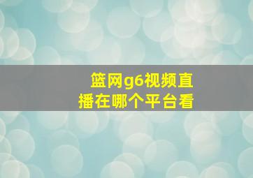 篮网g6视频直播在哪个平台看