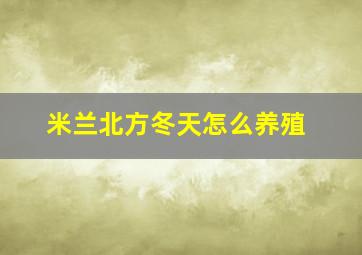 米兰北方冬天怎么养殖