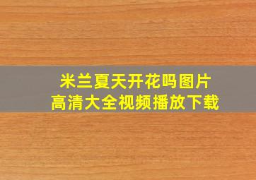 米兰夏天开花吗图片高清大全视频播放下载