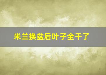 米兰换盆后叶子全干了