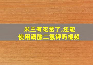 米兰有花蕾了,还能使用磷酸二氢钾吗视频