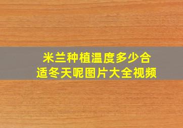 米兰种植温度多少合适冬天呢图片大全视频