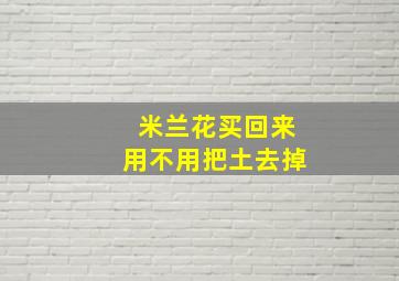 米兰花买回来用不用把土去掉