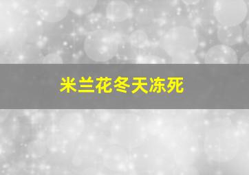 米兰花冬天冻死