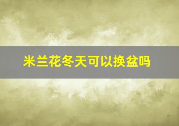 米兰花冬天可以换盆吗