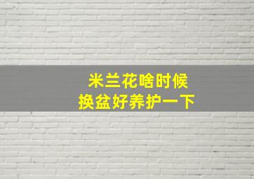 米兰花啥时候换盆好养护一下