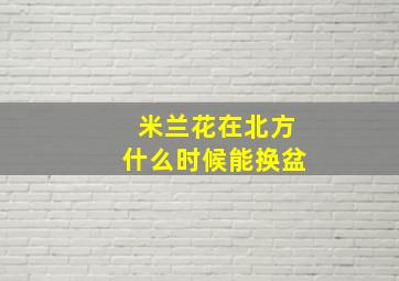 米兰花在北方什么时候能换盆