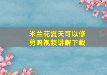 米兰花夏天可以修剪吗视频讲解下载