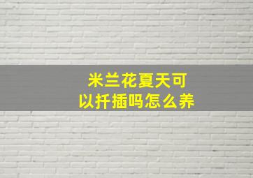 米兰花夏天可以扦插吗怎么养