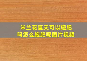 米兰花夏天可以施肥吗怎么施肥呢图片视频