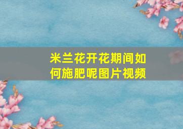 米兰花开花期间如何施肥呢图片视频